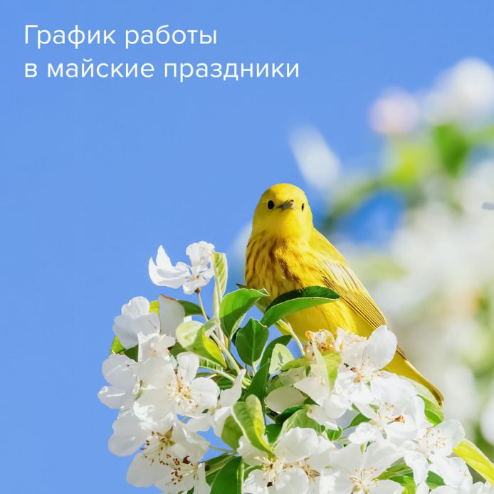 График работы в майские праздники