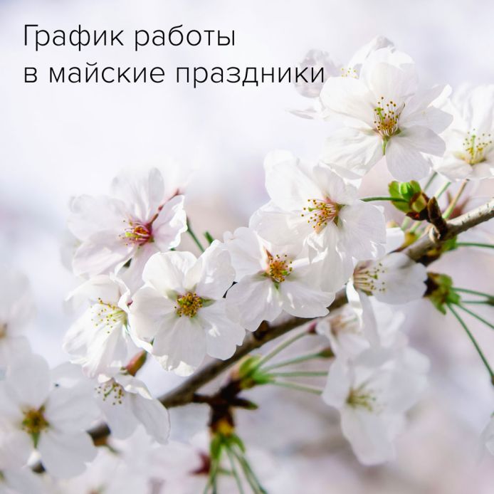 График работы в майские праздники